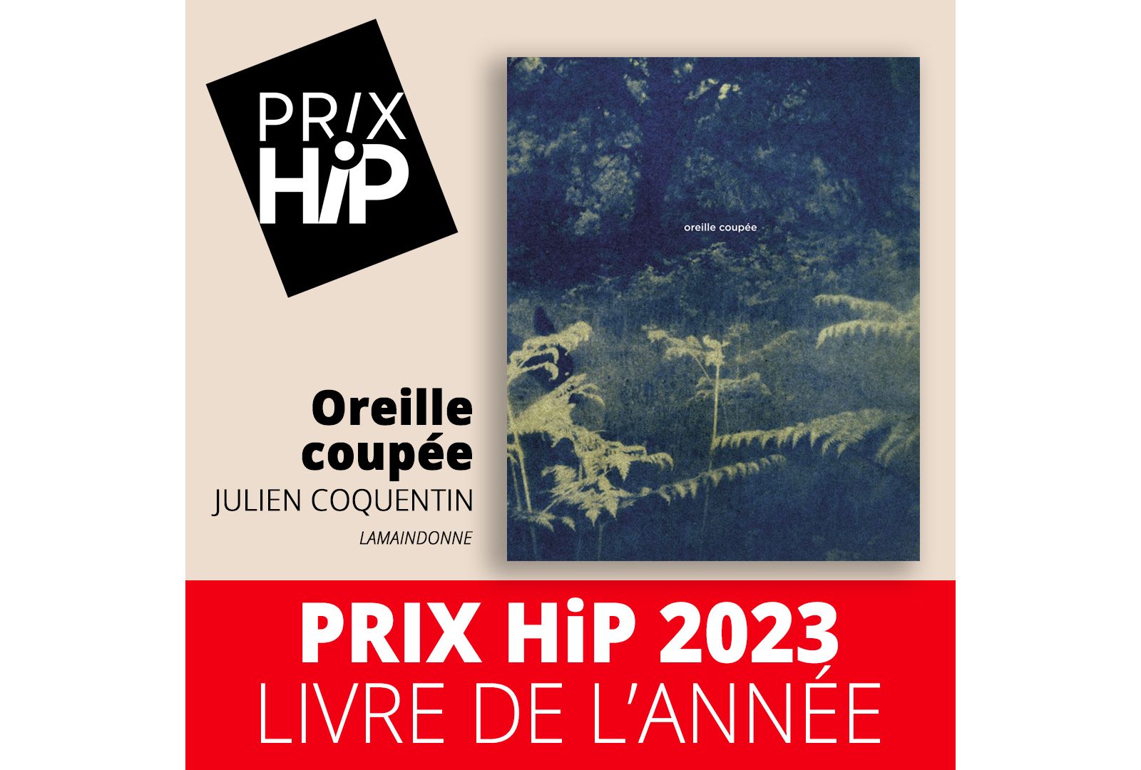 Livre de l'année Les prix HiP 2023 